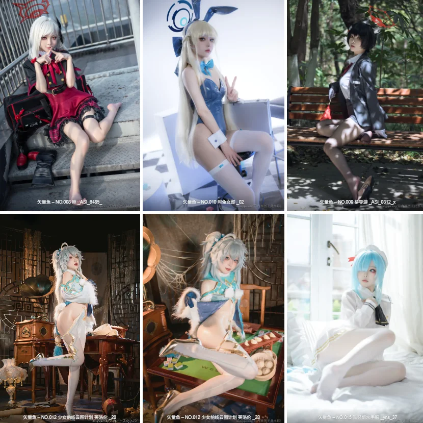 图片[3]-矢量鱼 – 全套27期[8.5G-2026.3]-福利虾虾