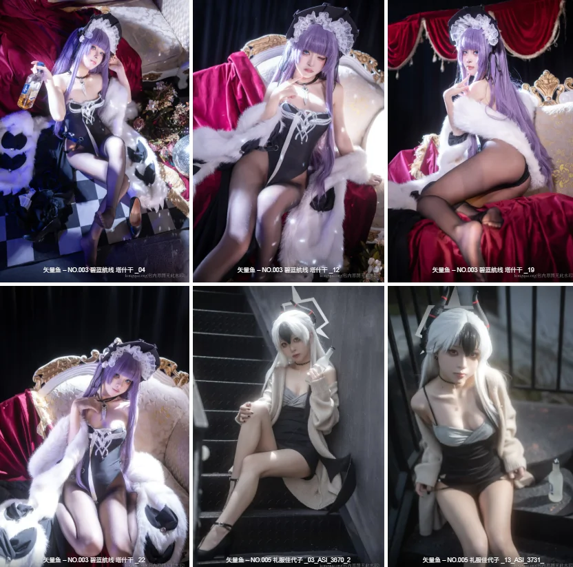 图片[2]-矢量鱼 – 全套27期[8.5G-2026.3]-福利虾虾